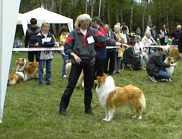 Aussellung fr Britische Htehunde