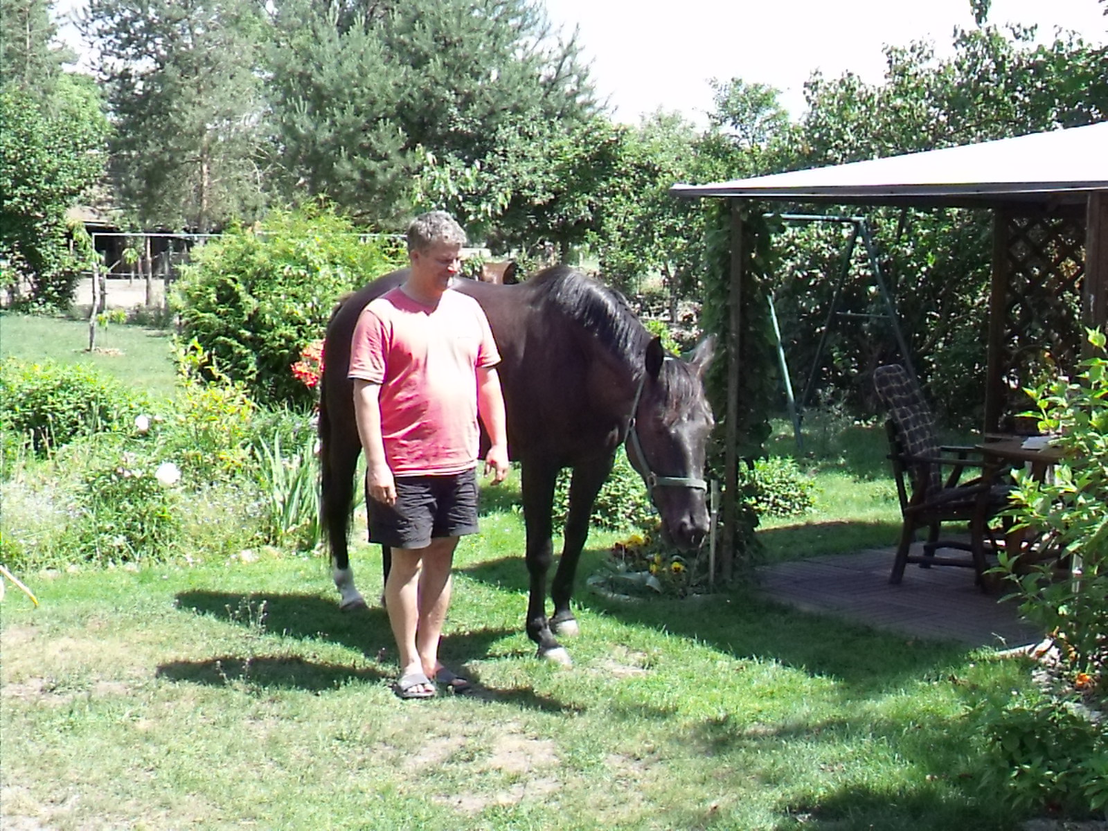 Reiten in berlin Brandenburg